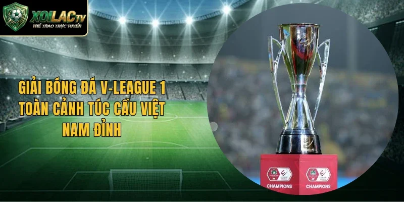 Giải Bóng Đá V-League 1 Toàn Cảnh Túc Cầu Việt Nam Đỉnh